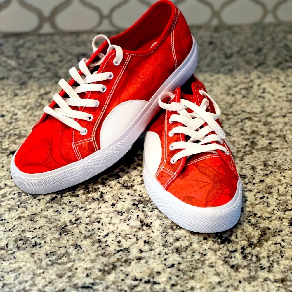 DC Canvas Shoes Evan Smith